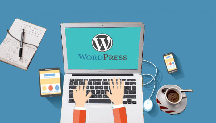 set up your wordpress website