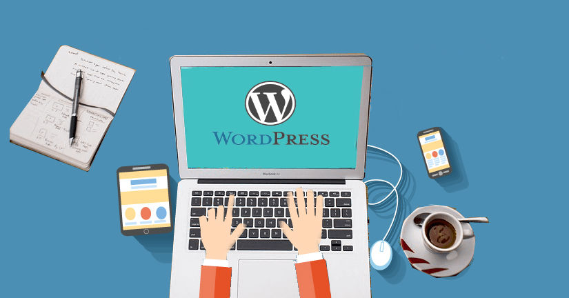 set up your wordpress website